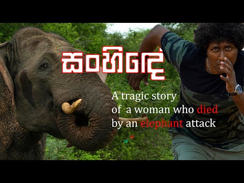 Sanhinde - Saman Lenin | සංහිඳේ | A tragic story of a woman who died by an elephant attack