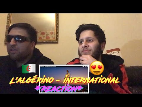 L’Algérino - international *Reaction*