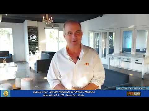 02-11-22 - Ignacio Añez - Remate Televisado de Alfredo S. Mondino  -Necochea, Bs.As.