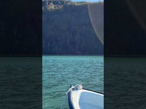 Lago verde, montañas, bosques nativos y el cuerpo de agua de tonos turquesa que le da nombre.