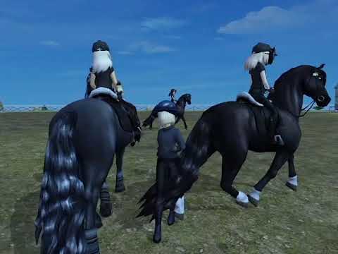 Dark Crows Trailer