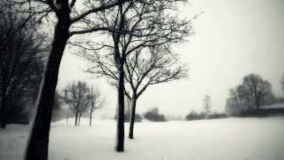 David Darling & Eve Kodiak - Reminiscence