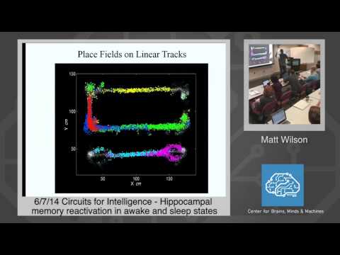6/7/14 Circuits for Intelligence - Matt Wilson: Hippocampal Memory Reactivation