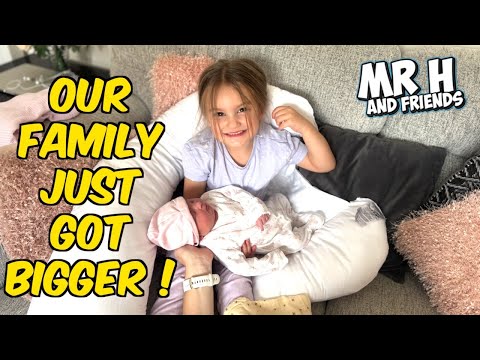 Our Family Just Got Bigger! 💖 | Baby Announcement from Mr H and Friends