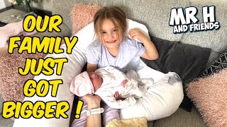Our Family Just Got Bigger! 💖 | Baby Announcement from Mr H and Friends