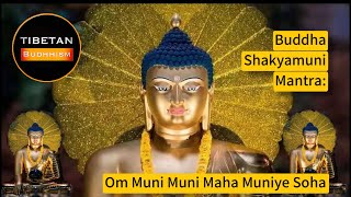 Download lagu Buddha Shakyamuni Mantra: Om Muni Muni Maha Muniye Soha | tibetan budhhism mp3 Download lagu Buddha Shakyamuni Mantra: Om Muni Muni Maha Muniye Soha | tibetan budhhism mp3