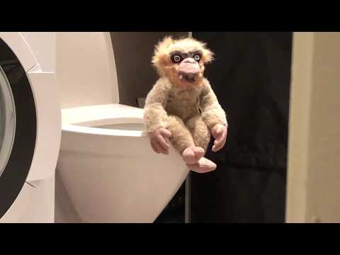 Alejandro – Spartips 1