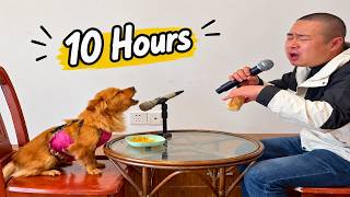 Chinese Man Singing With Dog 10 Hours
