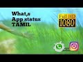 Love Feeling What S APP Status 2018 Tamil