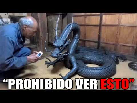 20 mythical creatures caught alive on camera that are shocking the world!