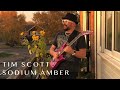 Meanwhile... Autumn Sunset (Part I) - Tim Scott Sodium Amber - House Chillout Music