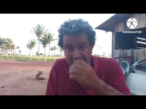 VÍDEO FEITO A PEDIDO DO MEU TIO PEDRO. GUAJARÁ MIRIM, NO ESTADO DE RONDÔNIA-18/10/2025-SÁBADO.
