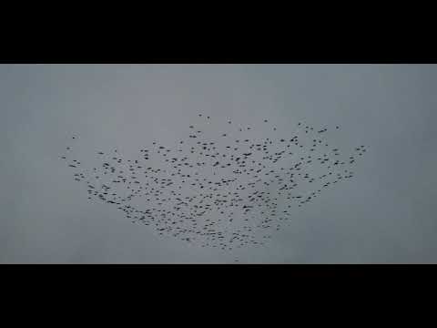 Nyt on lenkkeillä käyty