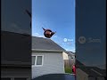Fat People Ai Sora Fat Viral Humor Cctv