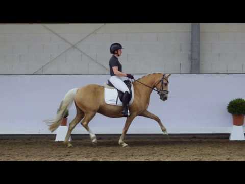 14j. Palominostute v. Highway N – Condor