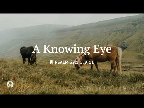 A Knowing Eye | Audio Reading | Our Daily Bread Devotional | January 12, 2026