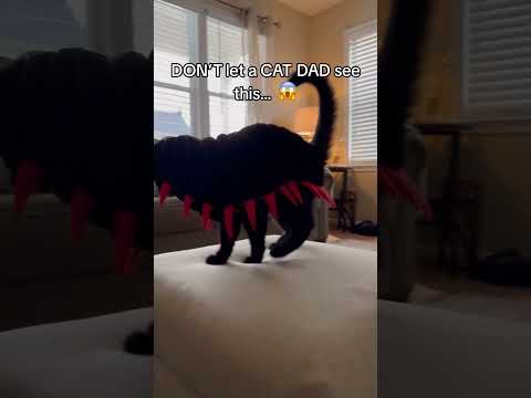 SEND this to a cat dad...