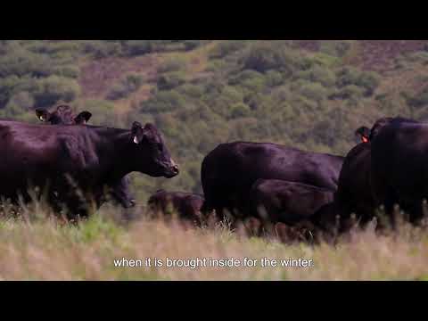 Farming Foodsteps On Farm Video Series: Glenkilrie Farm Episode 1