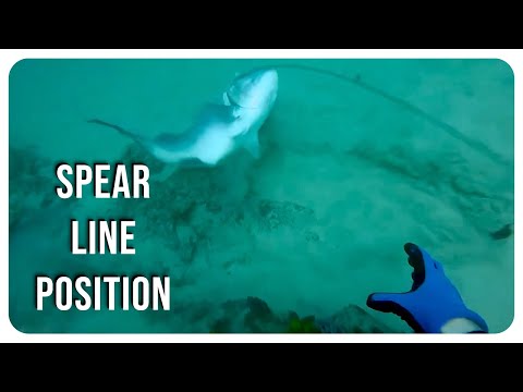 Rob Allen | Spear Line Position | 2024