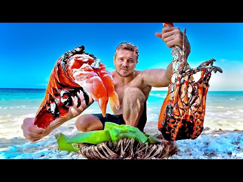 SOLO HUNT for GIANT CRAYFISH Catch n Cook Special