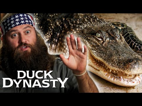 Duck Dynasty’s WILDEST Animal Moments - Critters, Quacks, and Chaos *Compilation*