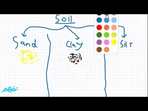 Types and properties of soil - العلوم لغات - الصف الخامس الابتدائي - الترم الثاني - نفهم