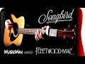 SONGBIRD 🐦 (Fleetwood Mac) / GUITAR Cover / MusikMan ИΑКΕÐ N°029