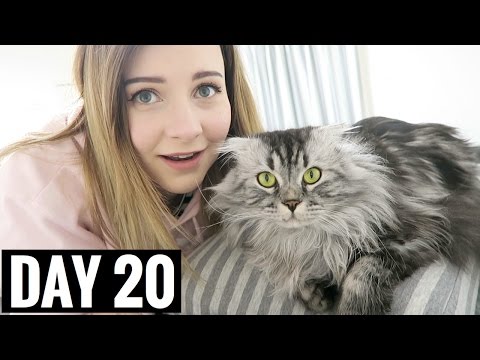 お気に入りのヘルシーフード＋TACO NIGHT!| ブログ20日目 (My Fave Healthy Foods + TACO NIGHT!! | vlogmas day 20)