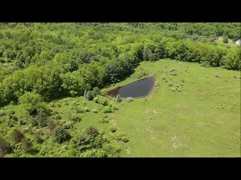 132 acres Cabin with Pond in Clarksville NY near Cuba and Cuba Lake