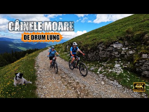 Muntii Latoritei, prea multa strategie de baterie pe Drumul Strategic