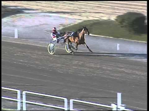 Trotto 23/12/2014 - prova di riqualifica