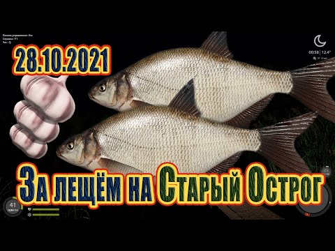 Фото Лещ на Остроге 28.10.2021! Русская рыбалка 4! Лещ! Фарм! Острог! РР4! РЫБОКИТ! 俄羅斯漁夫4