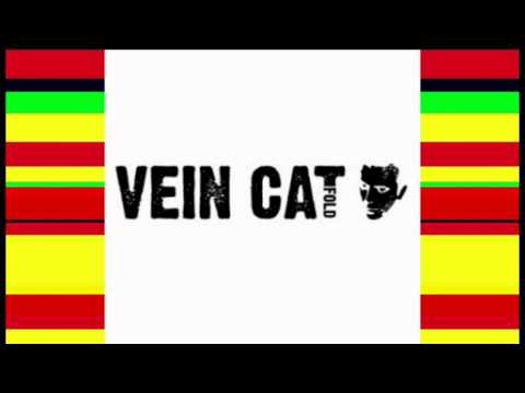 VEIN CAT - MOCK