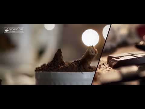 Second Cup Hot Chocolate