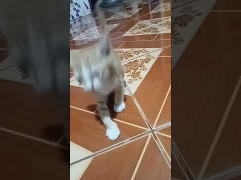 28 พฤษภาคม ค.ศ. 2024