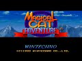 Magical Cat Adventure 1993 arcade