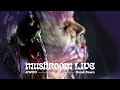 MUSHROOM LIVE S01 JIWOO - Break Down (Original Track by KARD) #MUSHROOMLIVE #JIWOO #KARD