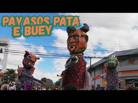 💥 PAYASOS PATA E BUEY 🤡 17 DE ENERO FTN 2026 🔥🔥
