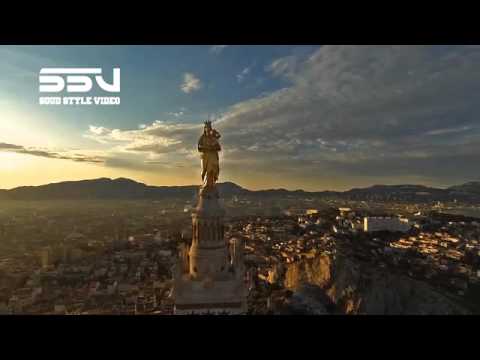 Lassana diarra olympique de marseille