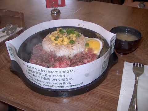 hp c618 some 90s animation vibe CCD camera