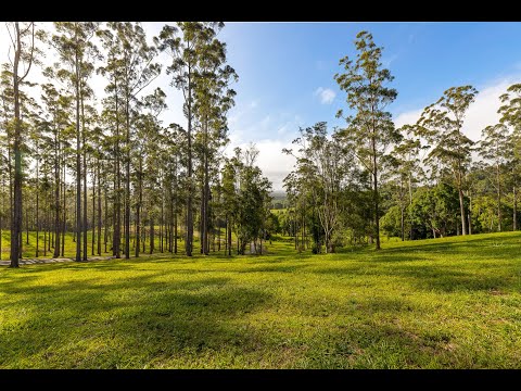 Crystal Creek Circuit, Coorabell, NSW 2479, 0部屋, 0バスルーム, Section