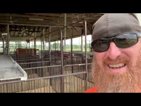 Zombie Velveteen Infected Night Load Out