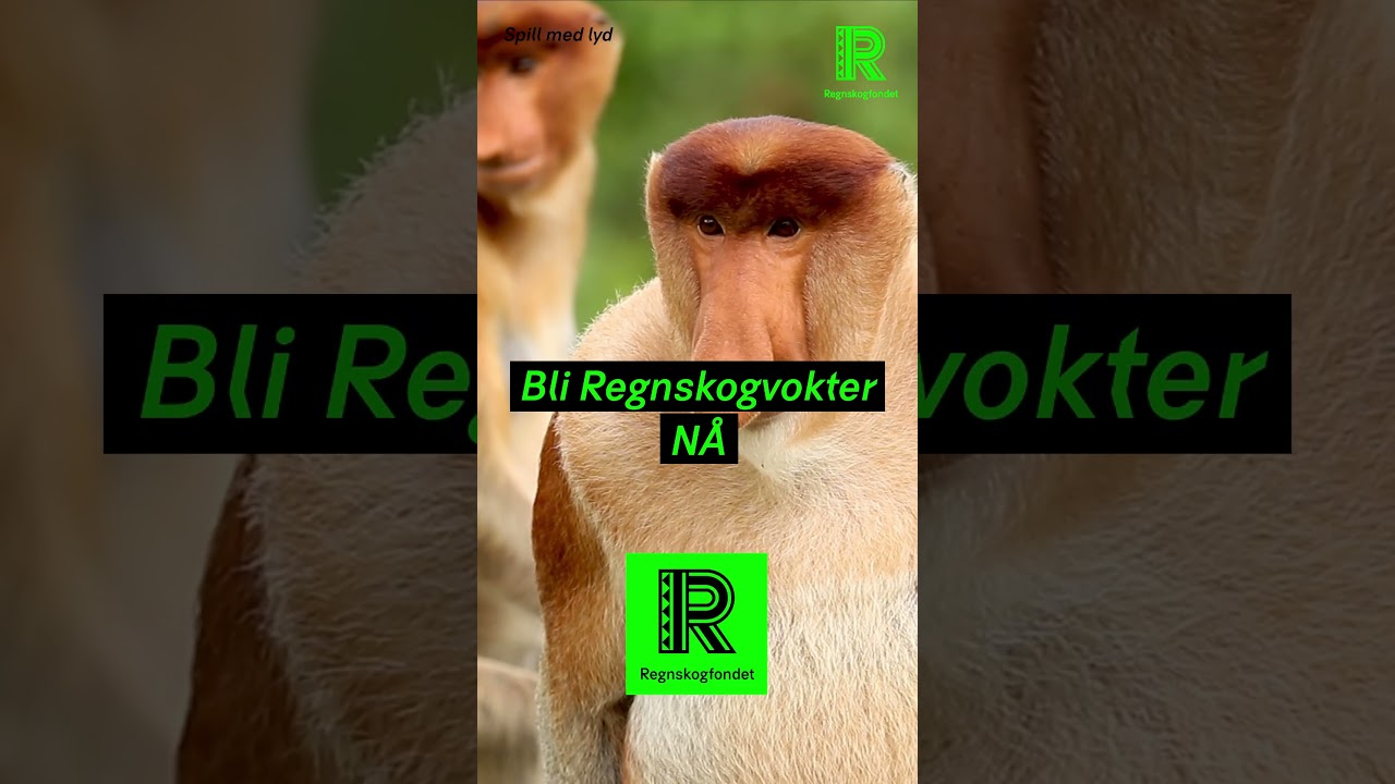 Brøleape Kickad
