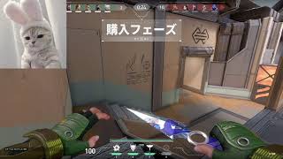 valorant みててたのしい配信