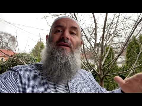 Porosi Mëngjesi (119) - Paso Sunetin dhe fito Këto mirësi - Hoxhë Bekir Halimi