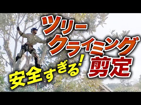  Storm Ciaran: 滑りやすい木製デッキに対処するための 6 つの専門家による滑り止めのヒント  庭園