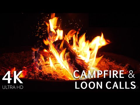 Loon Calls By The Fire On The Lake 4k 8 Hours