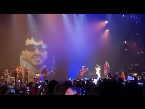 Elisa & Carl Brave - Vivere Tutte Le Vite live @ Palalottomatica (Roma 17-12-2019)