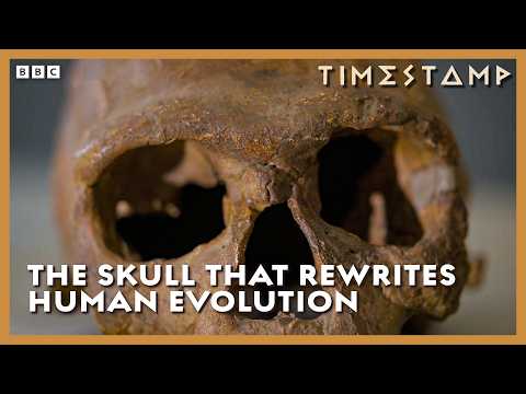 The 300,000-Year-Old Fossil That Completely Rewrites Human History | Human | BBC Timestamp
