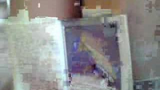 DRIPPY THE RUNAWAY RAINDROP SIDNEY SHELDON! 1-1